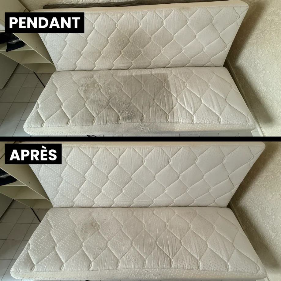 Nettoyage de tapis en profondeur